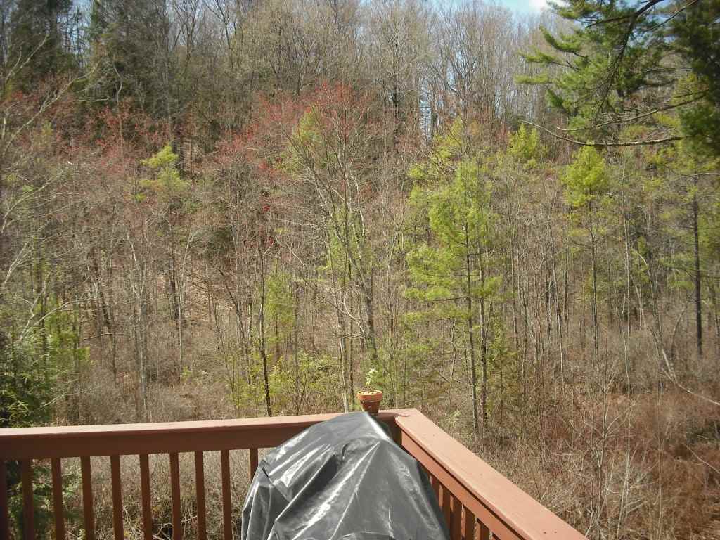 430 Burt Hill Road Winchester, NH 03470 - Photo 22 of 25