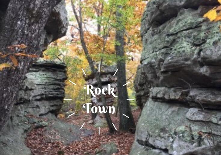6865 Hog Jowl Road Chickamauga, GA 30707 - Photo 76 of 80 Rock Town
