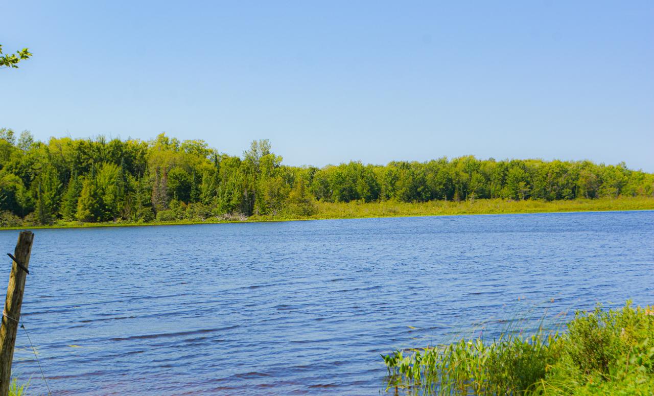 8351 West Harris Lake Road Presque Isle, WI 54557 - Photo 22 of 24 Gallery Image 22