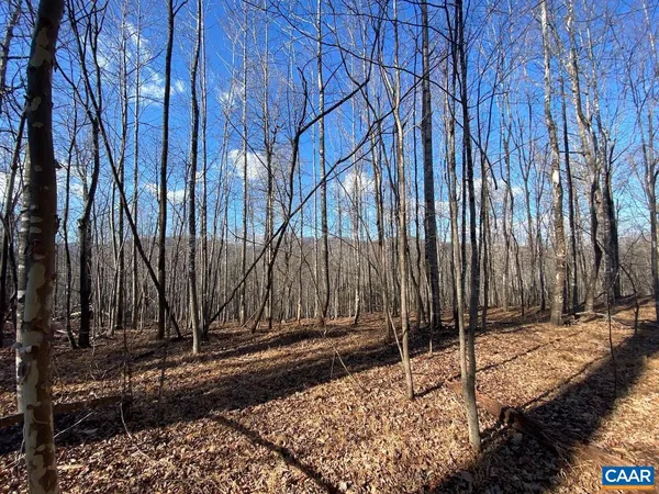 a view of a backyard of the house