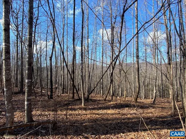 a view of a backyard of the house