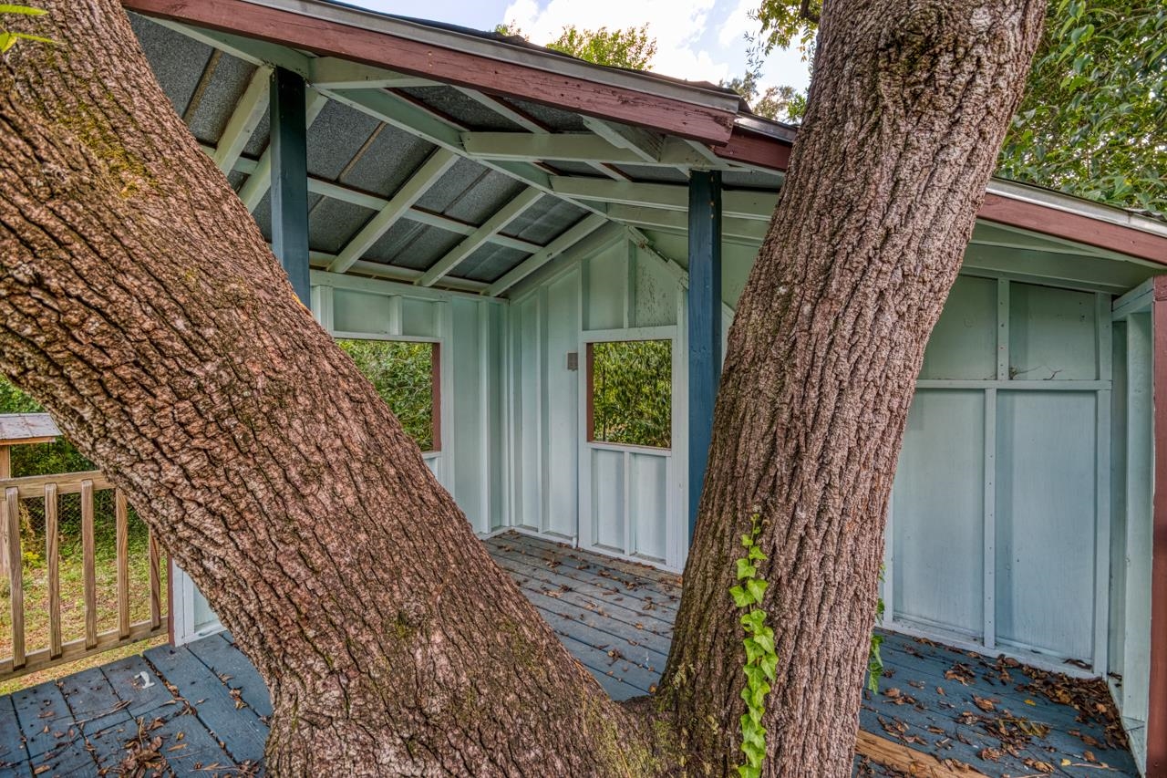 439 Shephard Street Tallahassee, FL 32303 - Photo 11 of 46