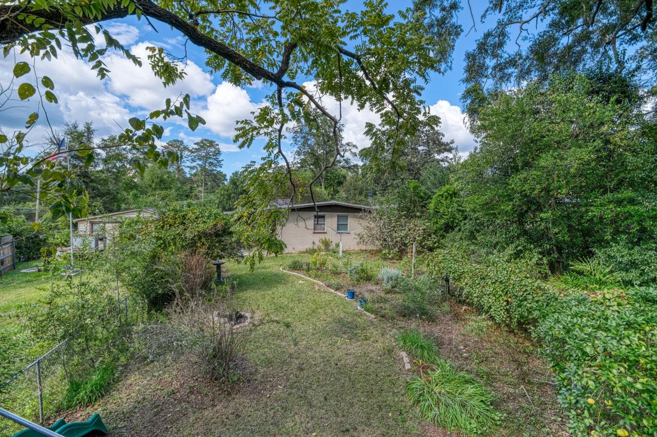 439 Shephard Street Tallahassee, FL 32303 - Photo 7 of 46
