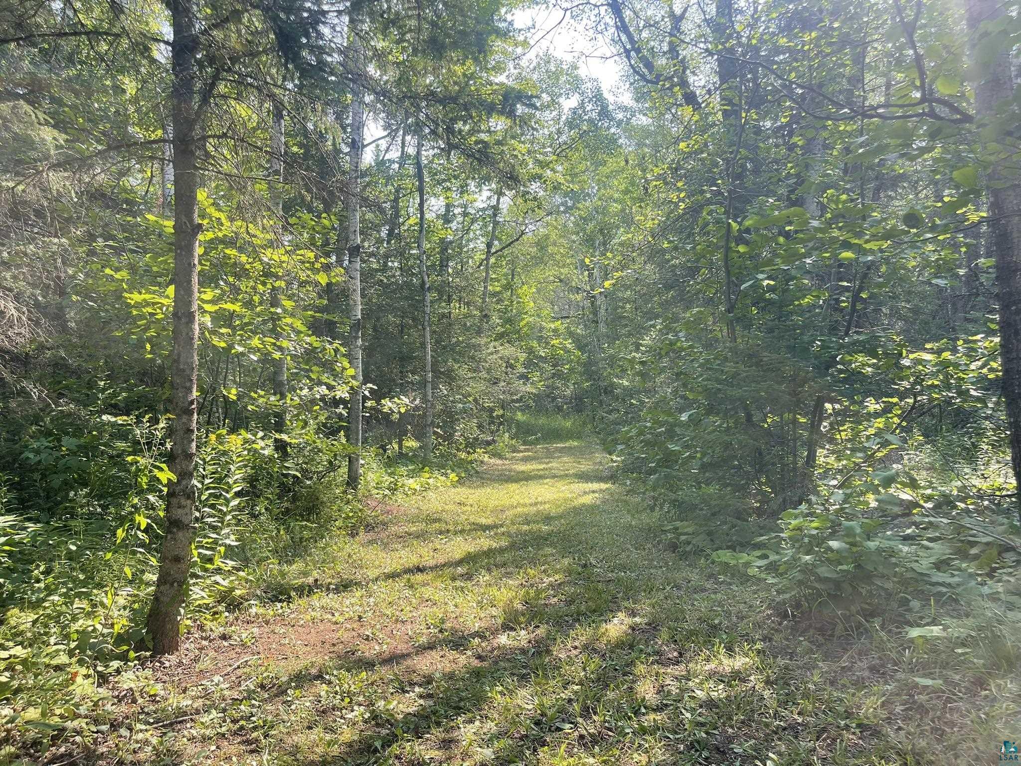 2290 Fors Road Two Harbors, MN 55616 - Photo 12 of 29
