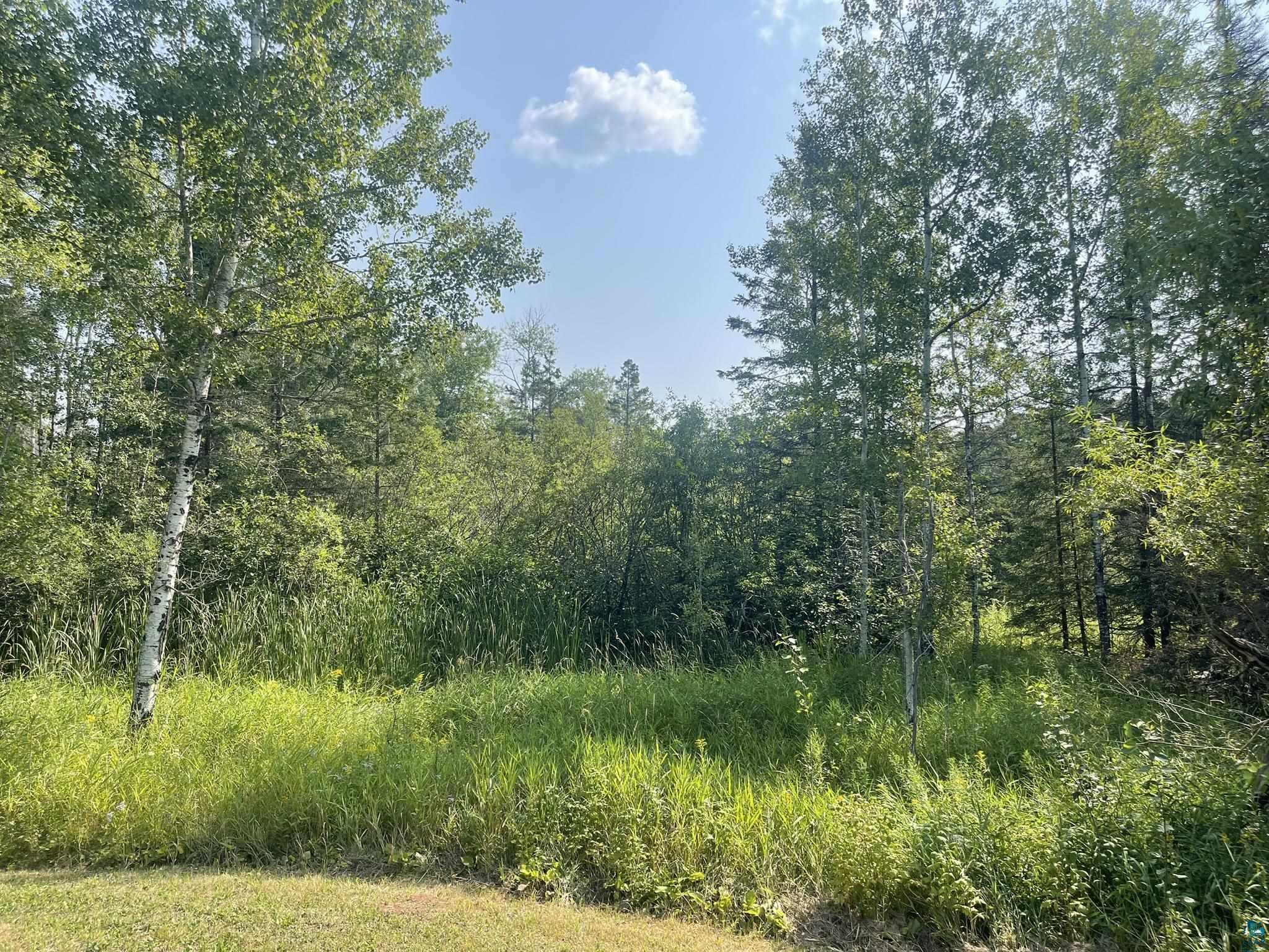2290 Fors Road Two Harbors, MN 55616 - Photo 13 of 29