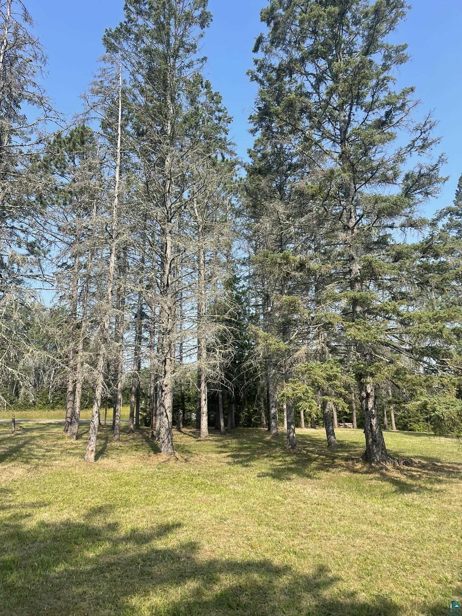 2290 Fors Road Two Harbors, MN 55616 - Photo 8 of 29