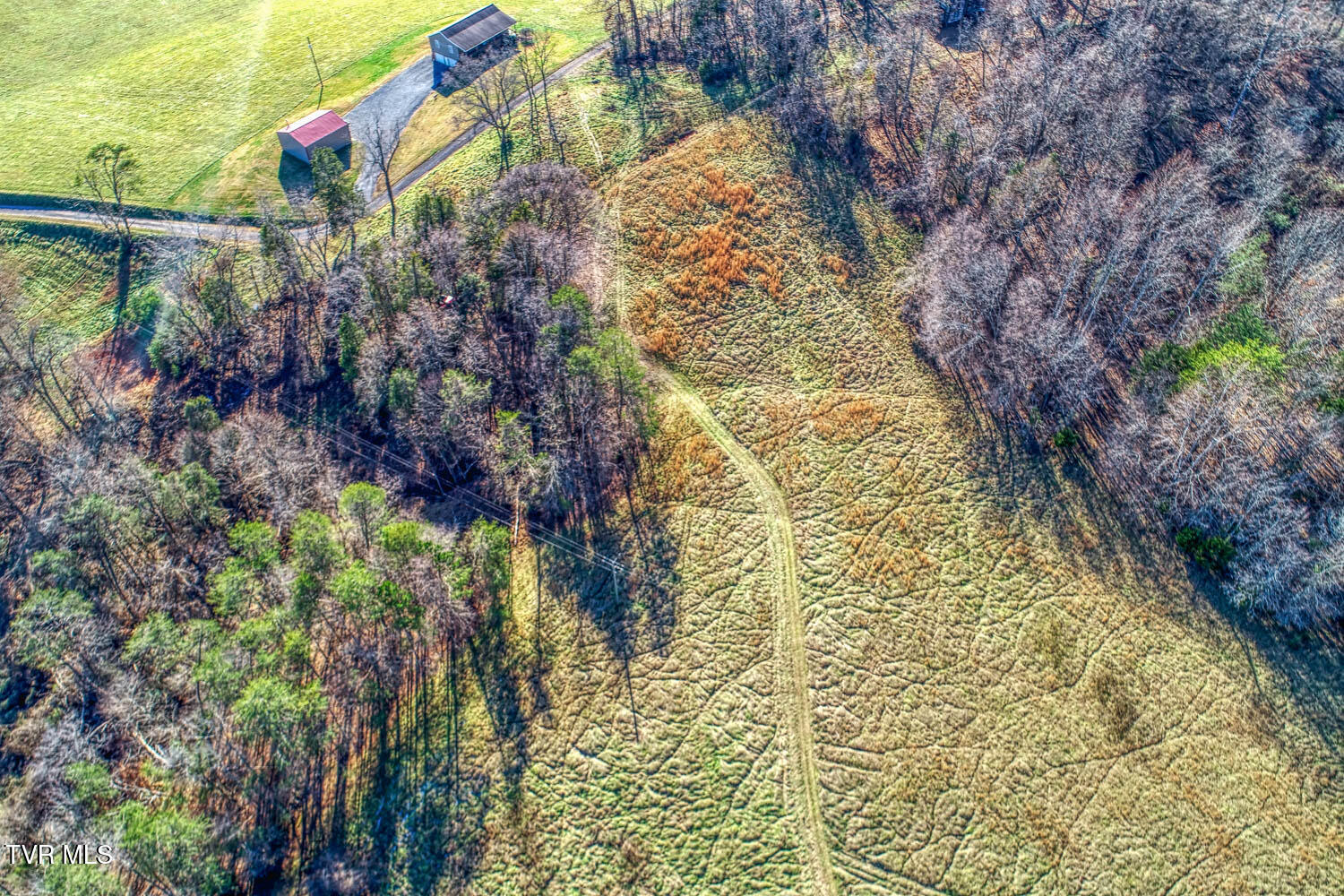Tbd Chestnut Town Road Rogersville, TN 37857 - Photo 12 of 24 Chestnutt 2 MLSa TBD Chestnutt (10 of 25