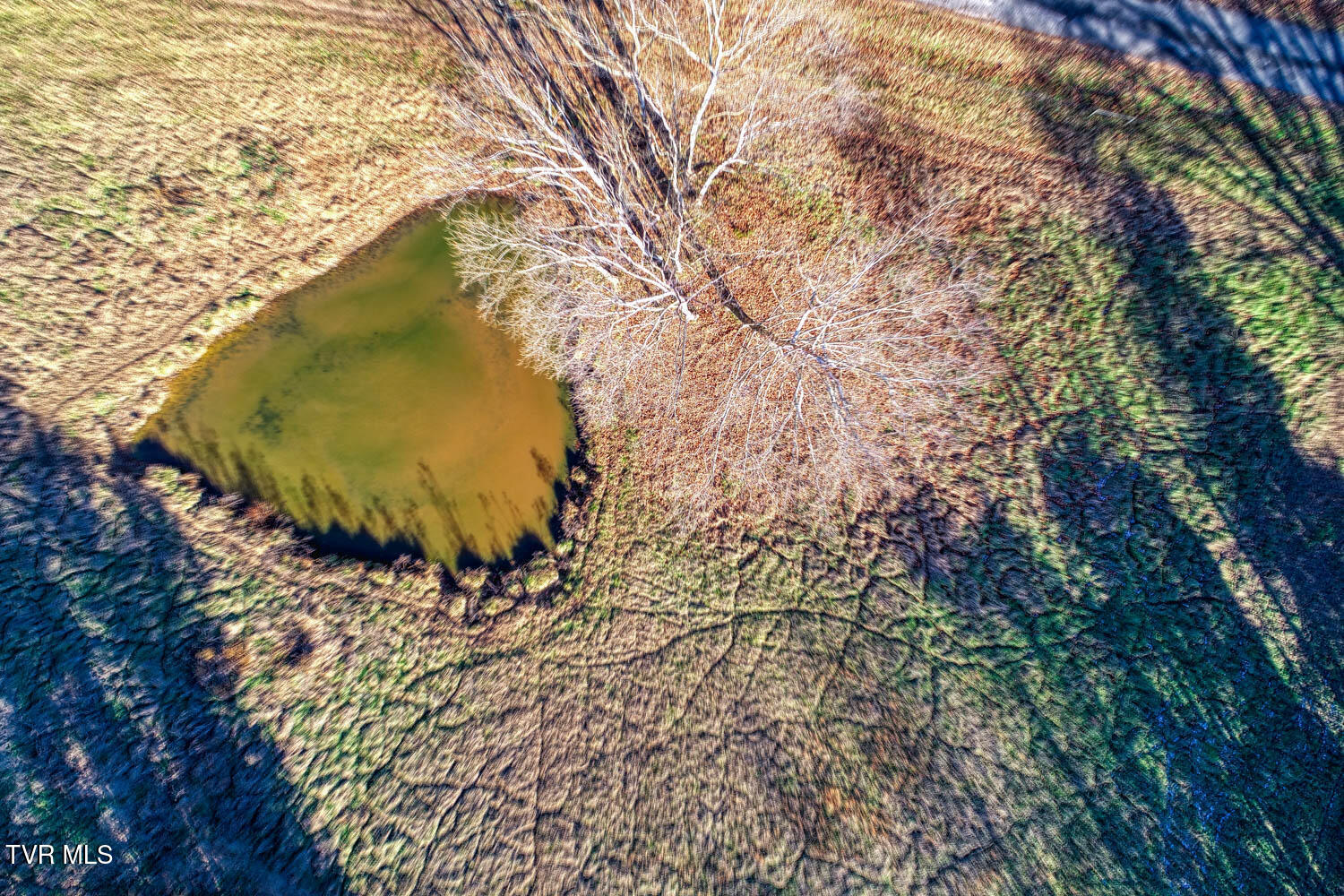 Tbd Chestnut Town Road Rogersville, TN 37857 - Photo 24 of 24 Chestnutt 2 MLSa TBD Chestnutt (24 of 25