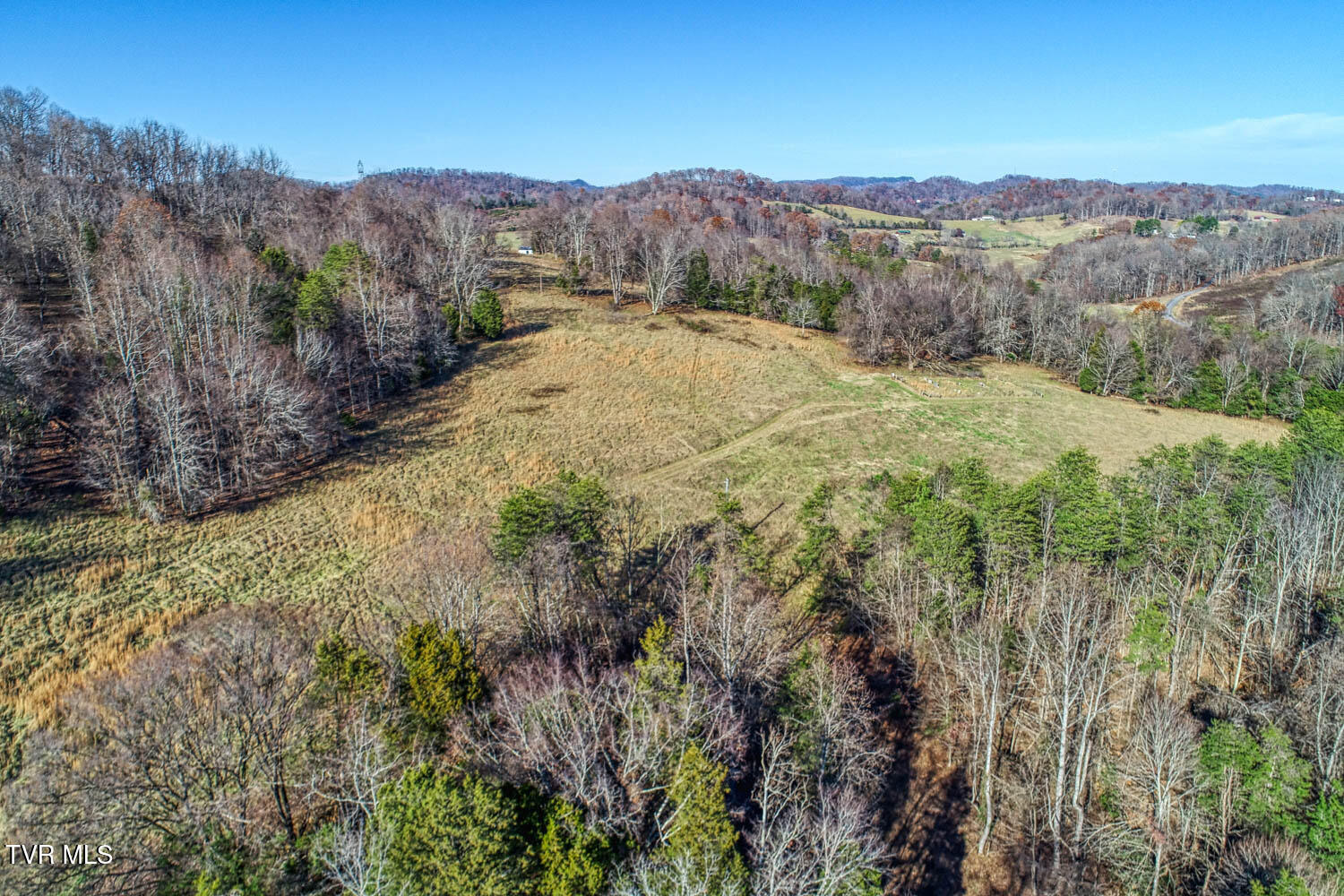 Tbd Chestnut Town Road Rogersville, TN 37857 - Photo 3 of 24 Chestnutt 2 MLSa TBD Chestnutt (1 of 25)
