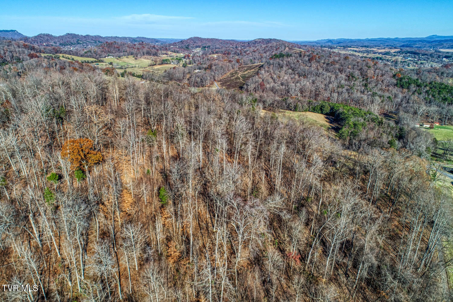 Tbd Chestnut Town Road Rogersville, TN 37857 - Photo 6 of 24 Chestnutt 2 MLSa TBD Chestnutt (4 of 25)