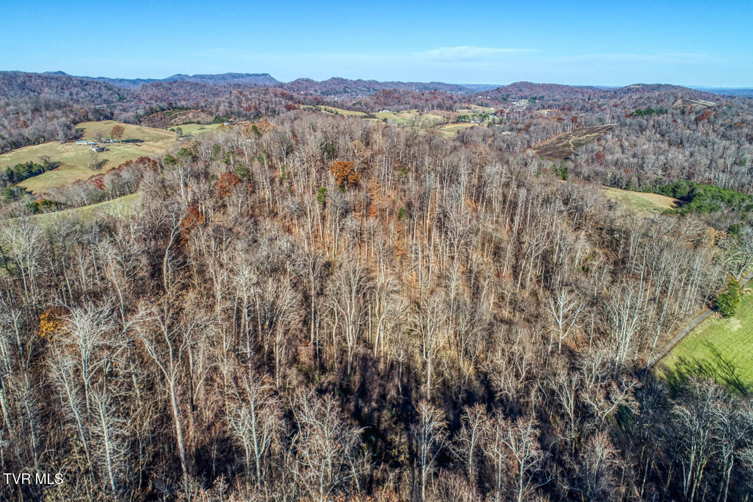 Tbd Chestnut Town Road Rogersville, TN 37857 - Photo 8 of 24 Chestnutt 2 MLSa TBD Chestnutt (6 of 25)