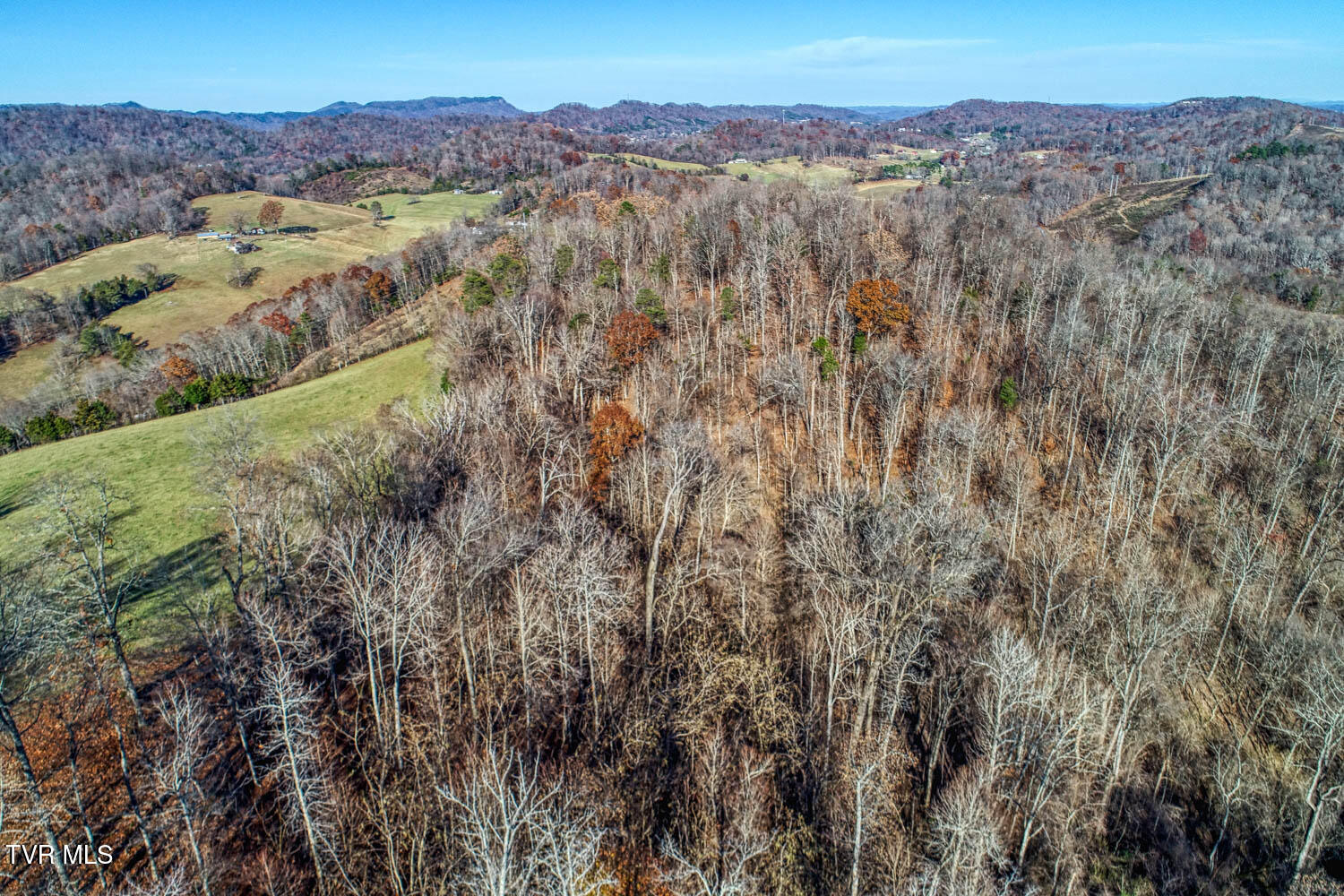 Tbd Chestnut Town Road Rogersville, TN 37857 - Photo 9 of 24 Chestnutt 2 MLSa TBD Chestnutt (7 of 25)