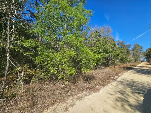 $36,500 | 1790 Northeast 156th Terrace, Williston, FL 32696