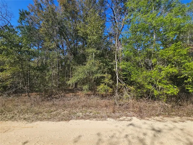 $36,500 | 1790 Northeast 156th Terrace, Williston, FL 32696