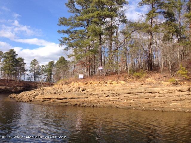Lot 41 Co Road Crane Hill, AL 35053 - Photo 7 of 11 Gallery Image 7