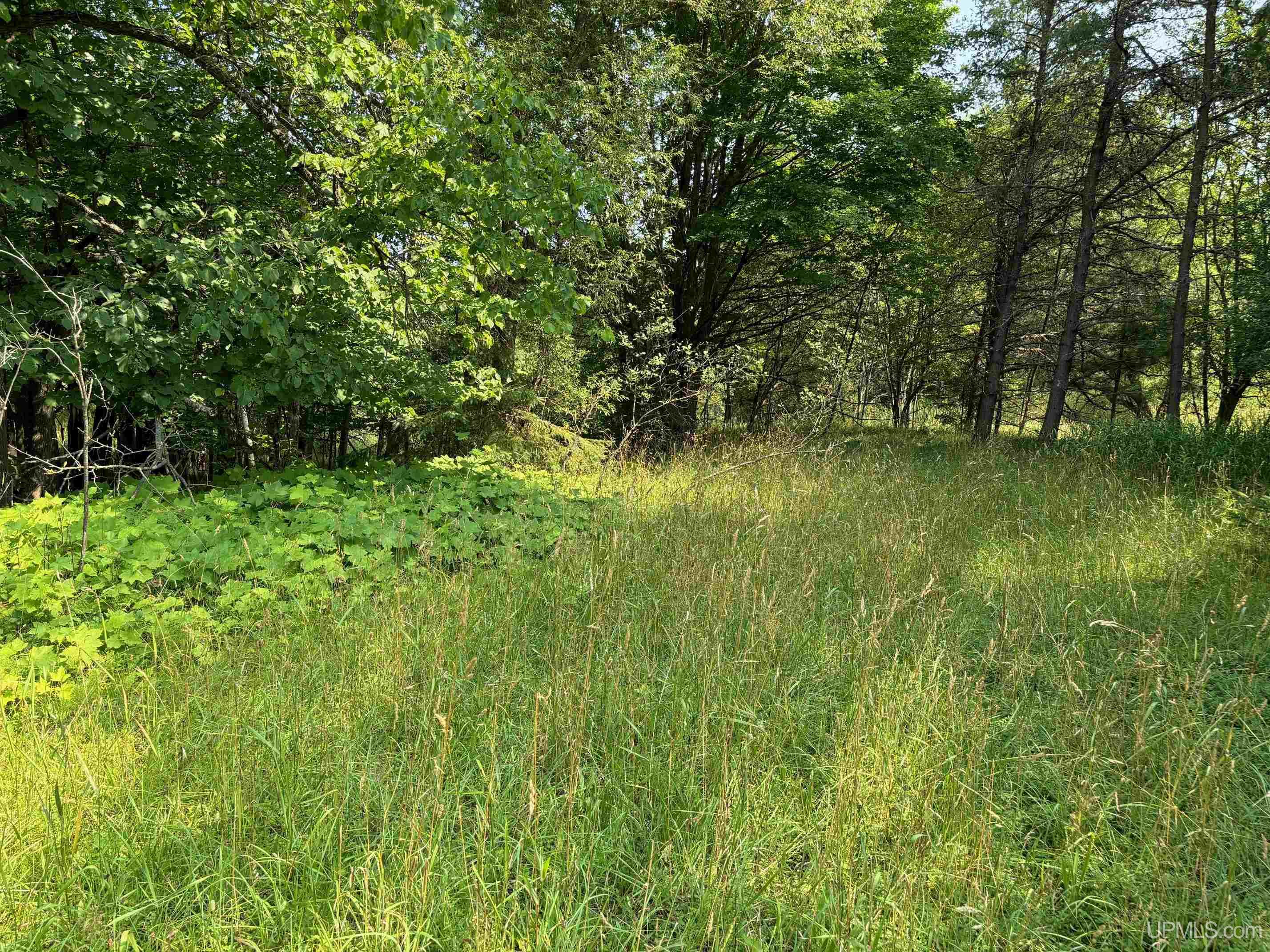21505 River Trails Road Houghton, MI 49931 - Photo 6 of 11