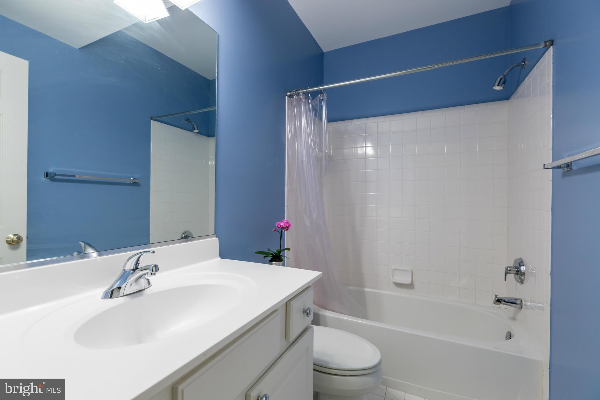 3115 Appleton Street Northwest Washington, DC 20008 - Photo 23 of 28 Bath