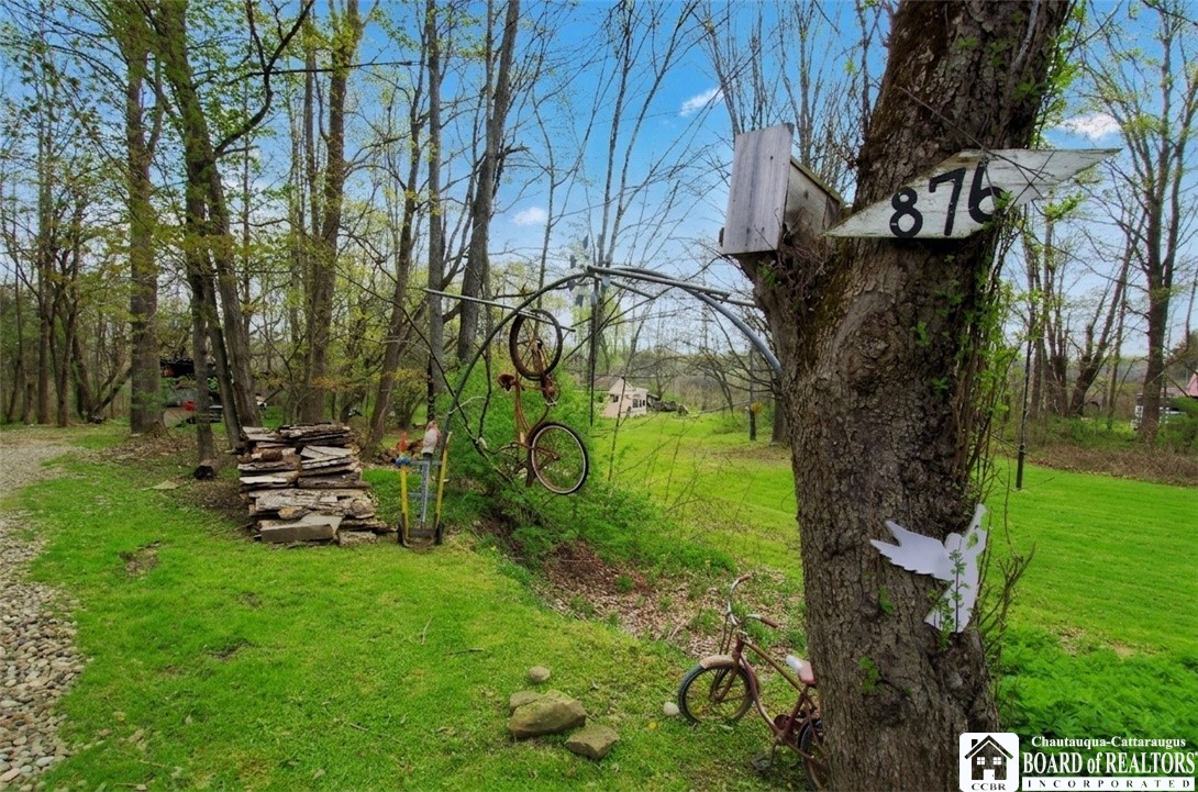 876 Swede Road Harmony, NY 14767 - Photo 4 of 25