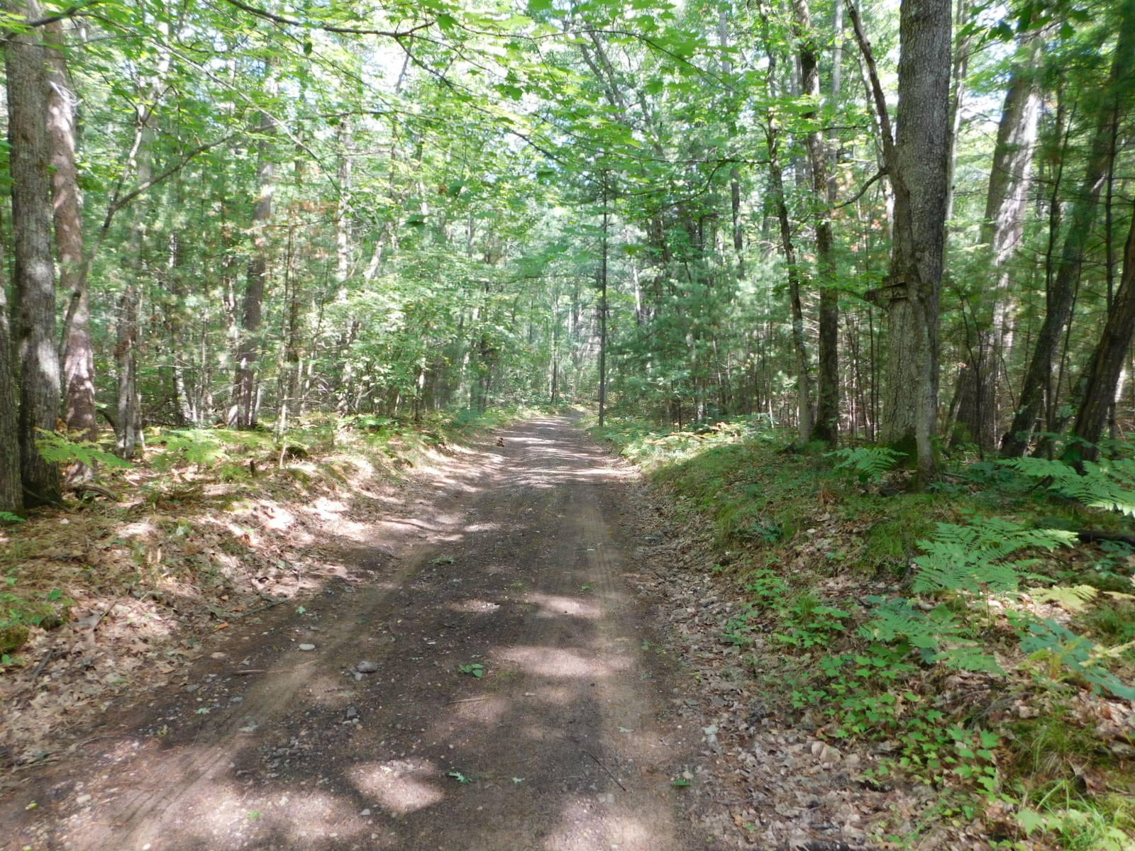 Bell Top Lodge Road Roscommon, MI 48653 - Photo 16 of 18 Gallery Image 16