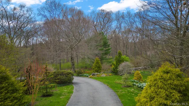 a view of a pathway with a yard