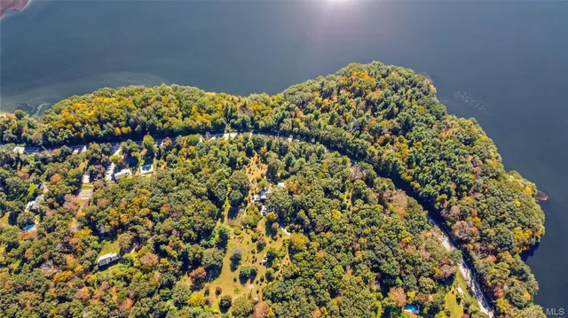 a close up of a plant