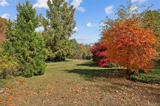 a view of a yard with plants and trees
