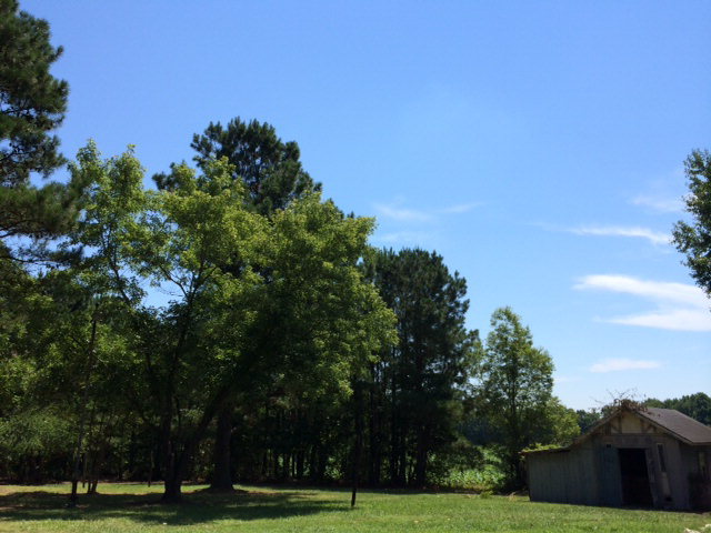 11495 Red Bud Road Castalia, NC 27816 - Photo 16 of 42 Additional Photo