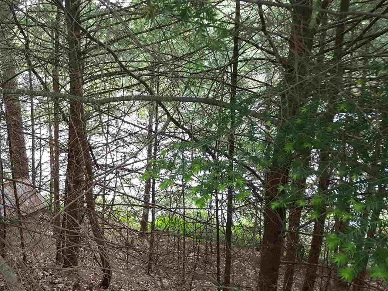 51 Iron Works Road, Unit 66 & 16 Effingham, NH 03882 - Photo 13 of 14