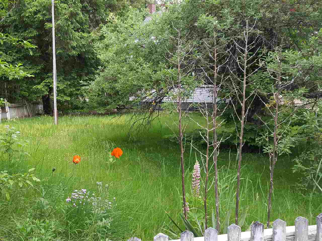 51 Iron Works Road, Unit 66 & 16 Effingham, NH 03882 - Photo 3 of 14