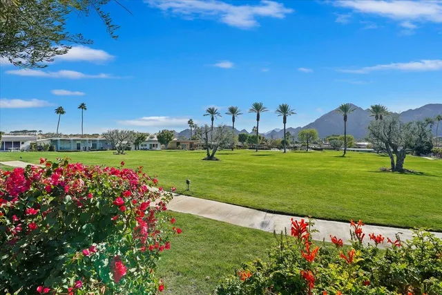a view of a garden with flowers and trees