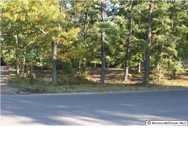 a view of a yard with large trees