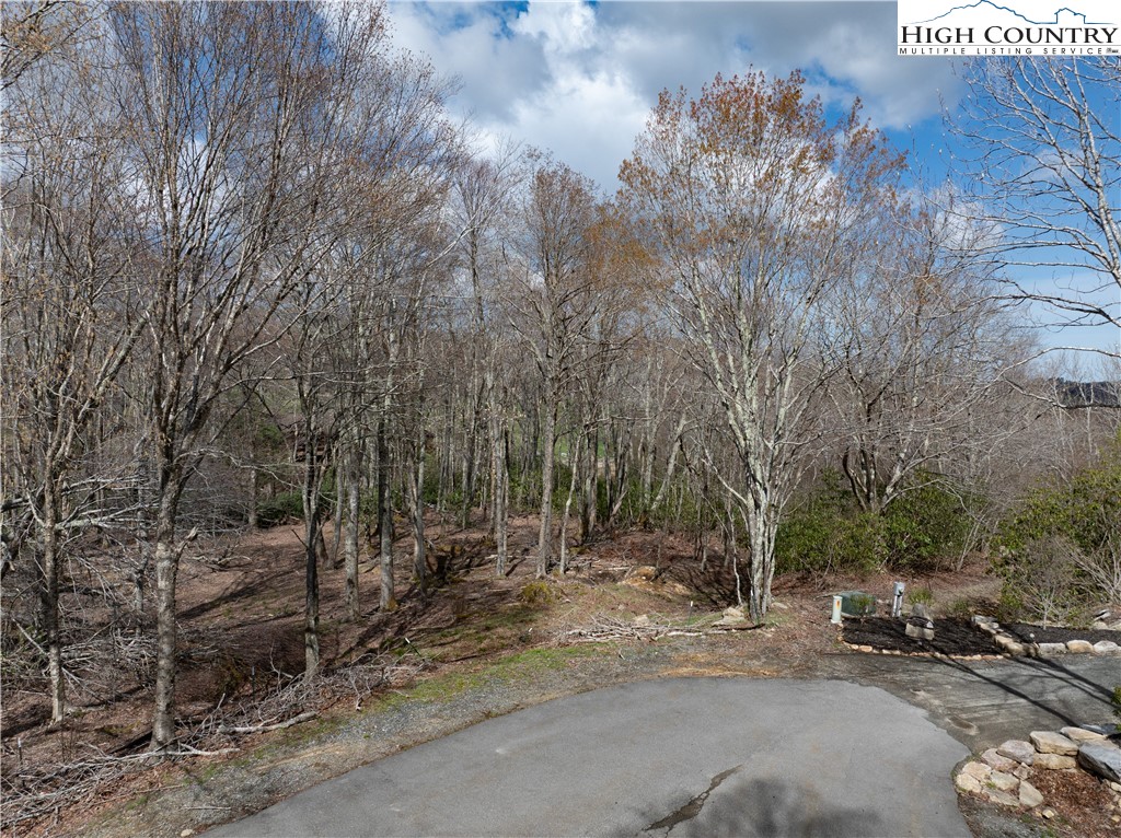 Es42 Firesong Lane Banner Elk, NC 28604 - Photo 13 of 28 a backyard of a house with lots of green space