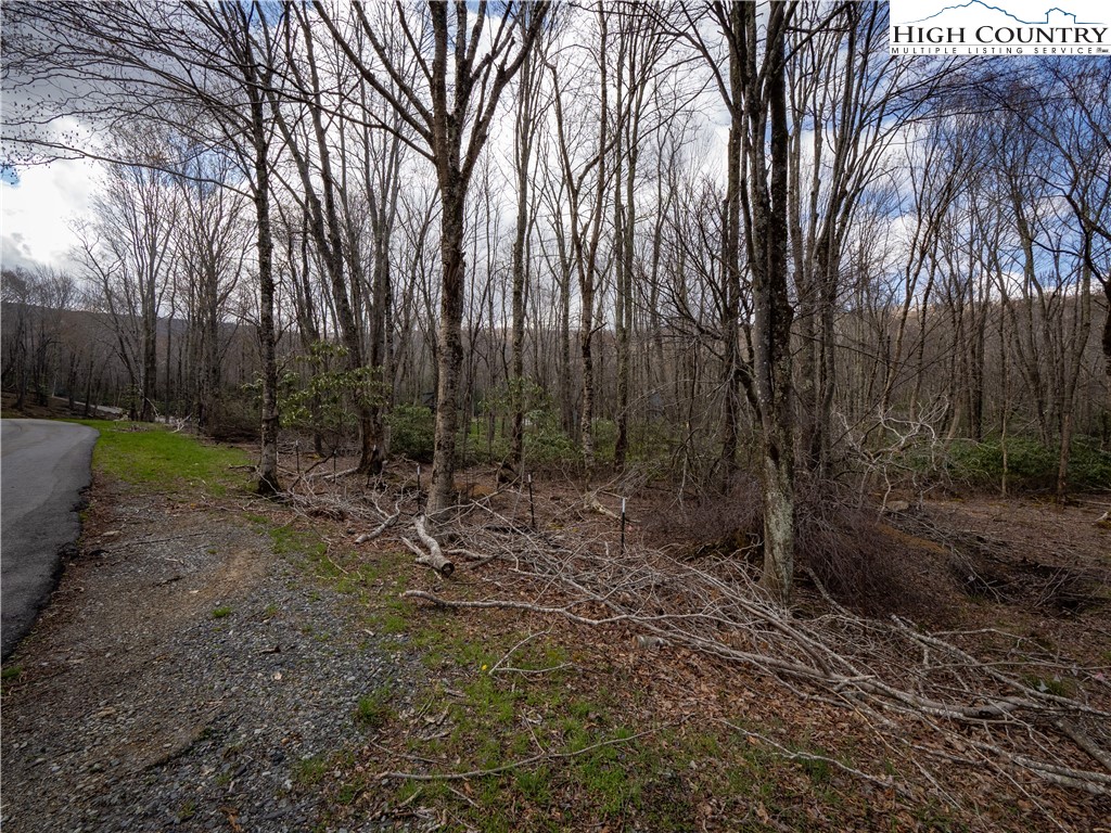 Es42 Firesong Lane Banner Elk, NC 28604 - Photo 6 of 28 a view of a yard with trees