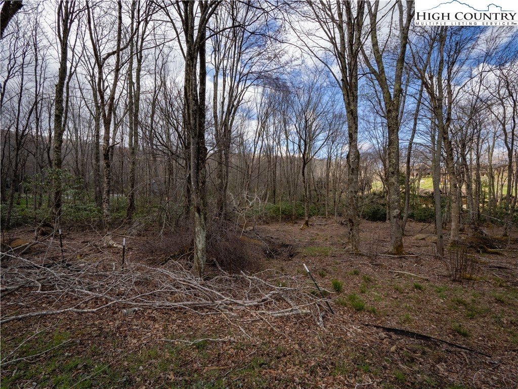 Es42 Firesong Lane Banner Elk, NC 28604 - Photo 7 of 28 a backyard of a house with lots of green space