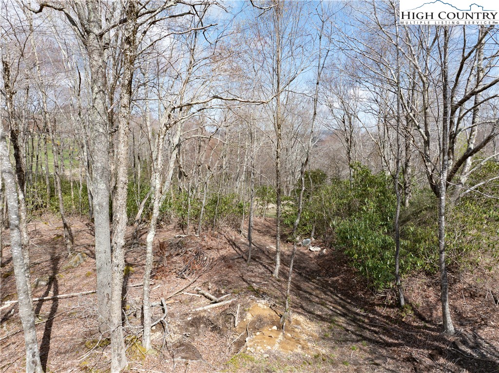 Es42 Firesong Lane Banner Elk, NC 28604 - Photo 8 of 28 a view of a forest filled with trees
