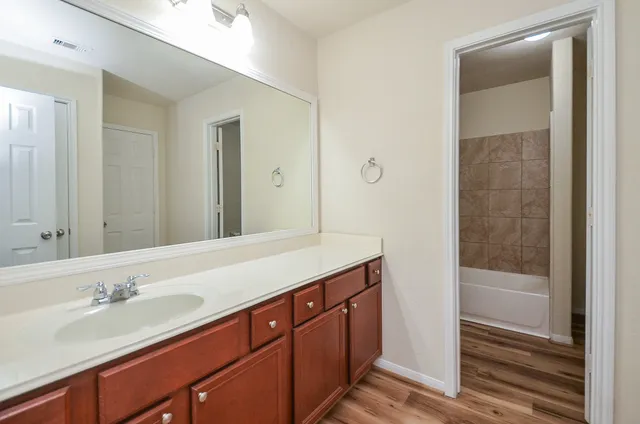 a bathroom with a sink and a mirror