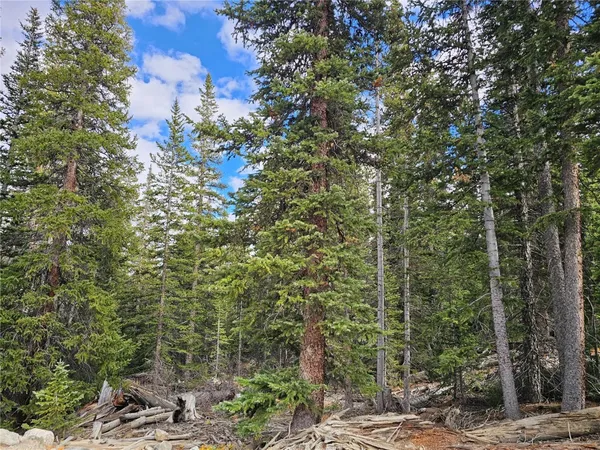 $109,000 | 617 Gold Trail, Fairplay, CO 80440