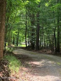 465 Keysville Road Washington, NC 27889 - Photo 5 of 66 IMG_2053