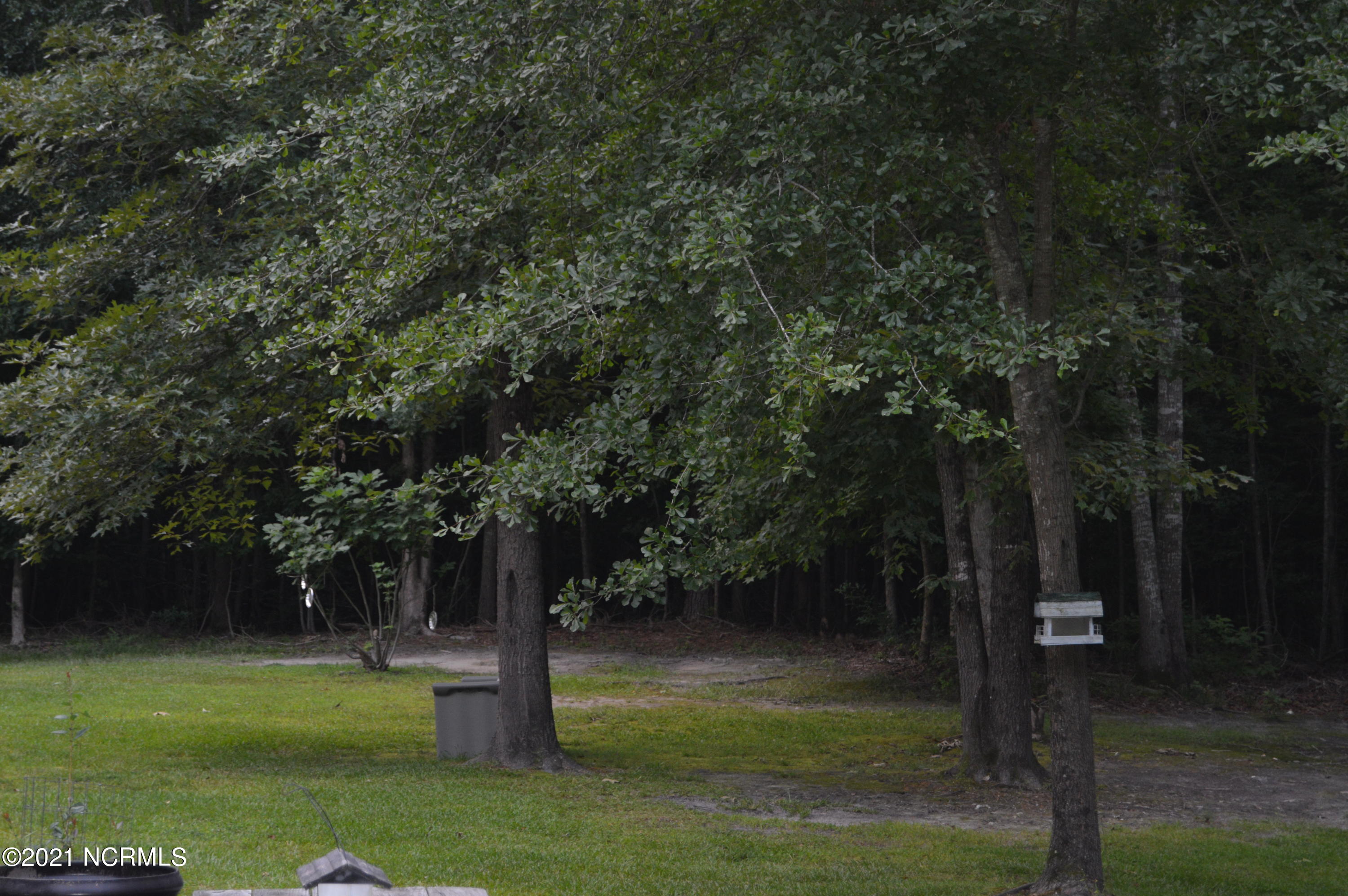 465 Keysville Road Washington, NC 27889 - Photo 56 of 66 DSC_0169