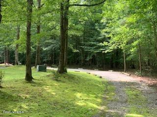 465 Keysville Road Washington, NC 27889 - Photo 65 of 66 IMG_2059