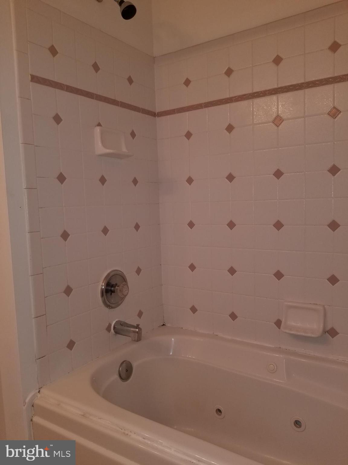 2491 Warm Spring Way Odenton, MD 21113 - Photo 17 of 29 Jacuzzi tub!