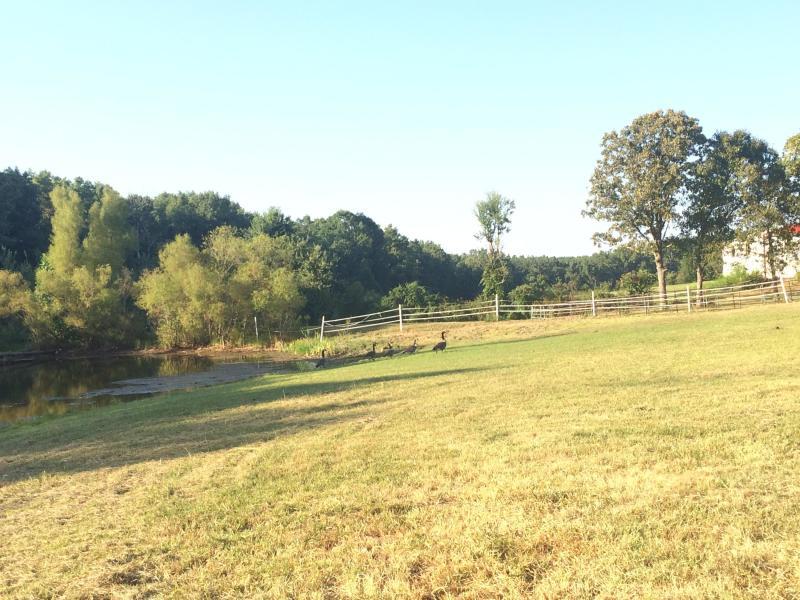 292 Baier Road Crossville, TN 38571 - Photo 12 of 40 20190508174844751193000000-o