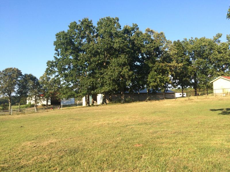 292 Baier Road Crossville, TN 38571 - Photo 13 of 40 20190508174844947363000000-o