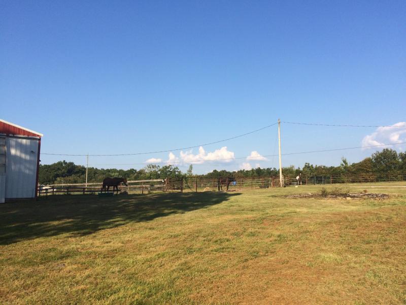 292 Baier Road Crossville, TN 38571 - Photo 14 of 40 20190508174845171176000000-o