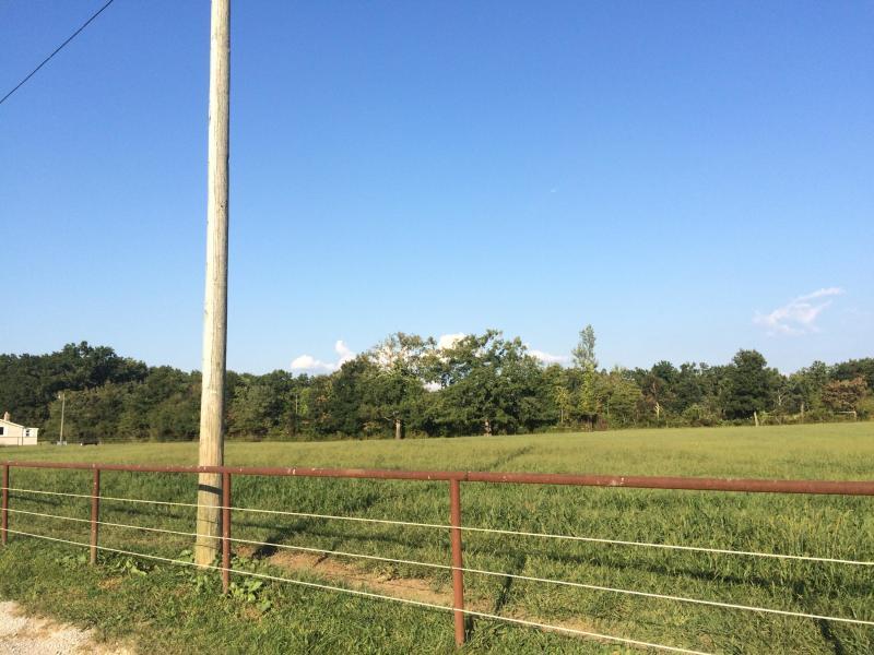 292 Baier Road Crossville, TN 38571 - Photo 19 of 40 20190508174846230269000000-o