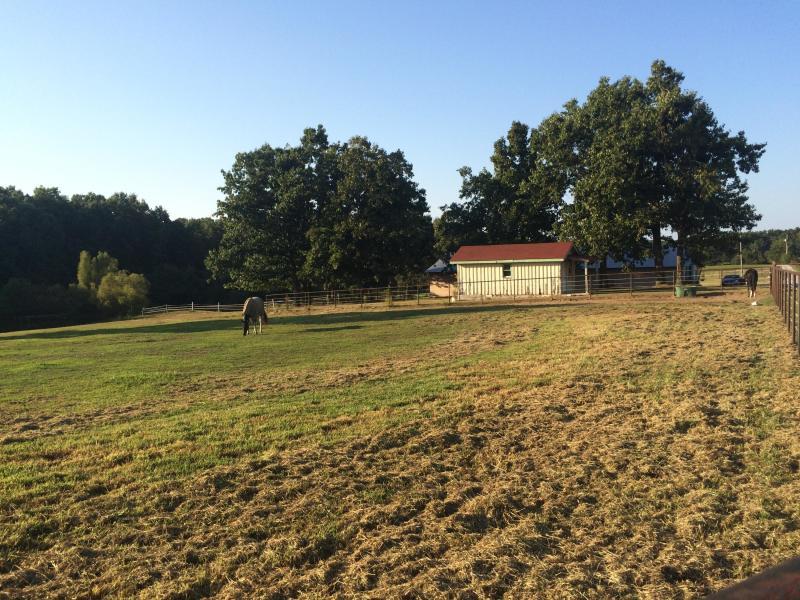 292 Baier Road Crossville, TN 38571 - Photo 27 of 40 20190508174849667257000000-o