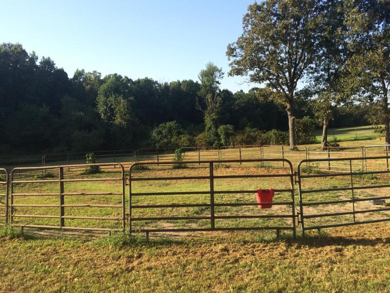 292 Baier Road Crossville, TN 38571 - Photo 10 of 40 20190508174844077196000000-o