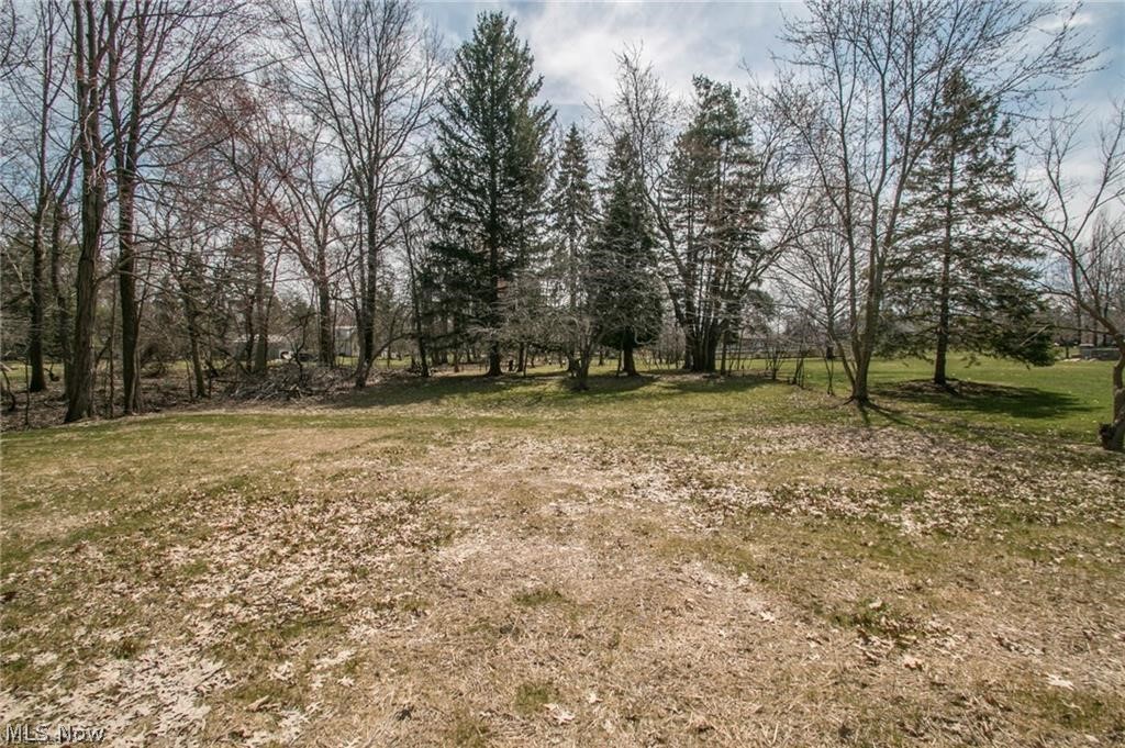 994 Chestnut Road Independence, OH 44131 - Photo 14 of 14 Fenced large treed lot