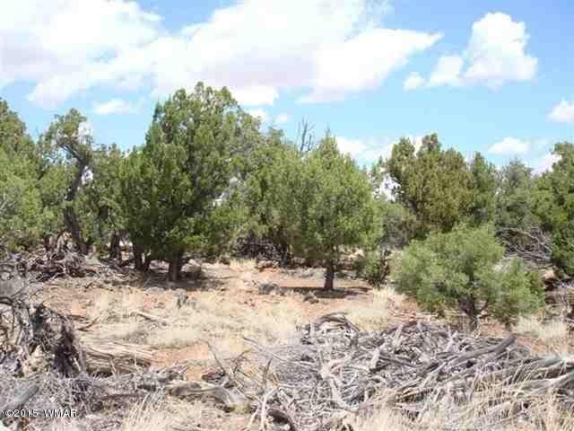 7972 Christmas Tree Road Show Low, AZ 85901 - Photo 2 of 5