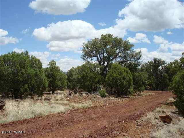 7972 Christmas Tree Road Show Low, AZ 85901 - Photo 3 of 5